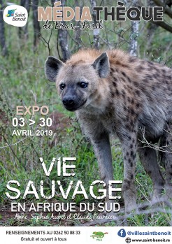 Exposition "Vie sauvage" de Passion Nature Association