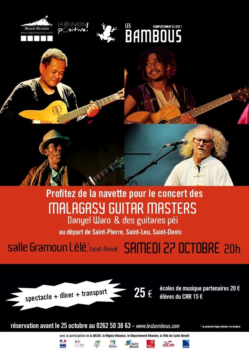 MALAGASY GUITAR MASTERS, Danyel Waro + 50 guitares péi