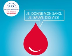 Collecte de sang à la mairie annexe de Sainte-Anne : restons mobilisés ! 