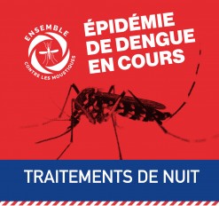 Lutte contre la dengue : traitements de nuit secteur Bras Madeleine