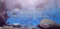 Avant-première gratuite du documentaire "Bassin bleu" au cinéma Cristal