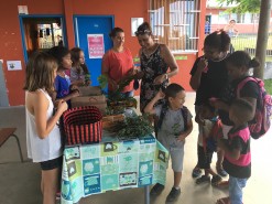 " Médicanou " : un projet scolaire sur les plantes médicinales à l'école Maxime Fontaine